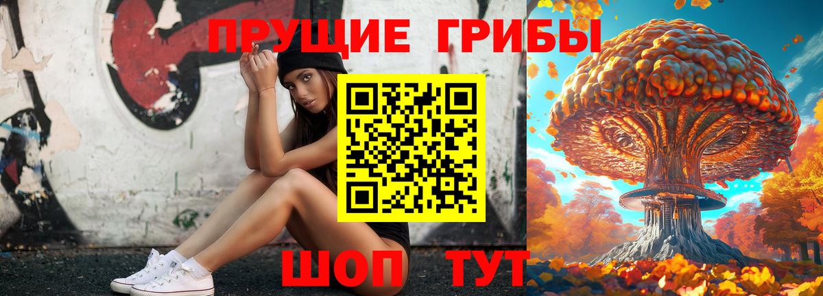где продают   Галлюциногенные грибы мухоморы  Вход с VPN  Железногорск 